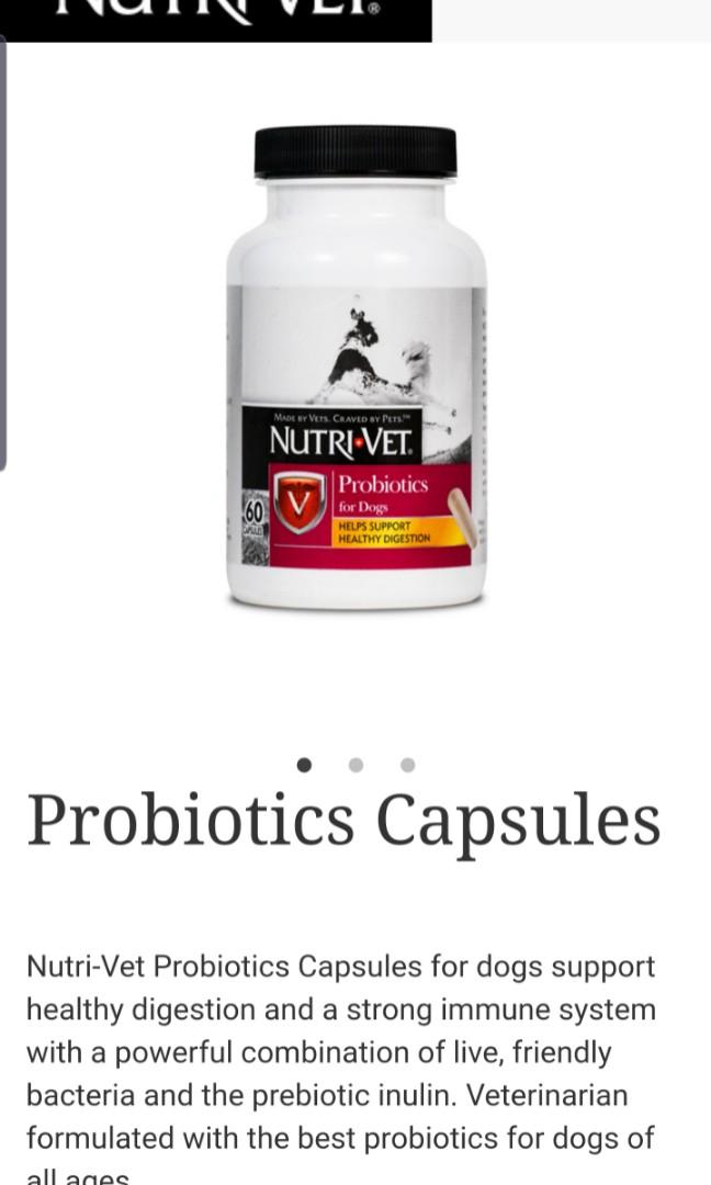 Nutri vet probiotics hotsell