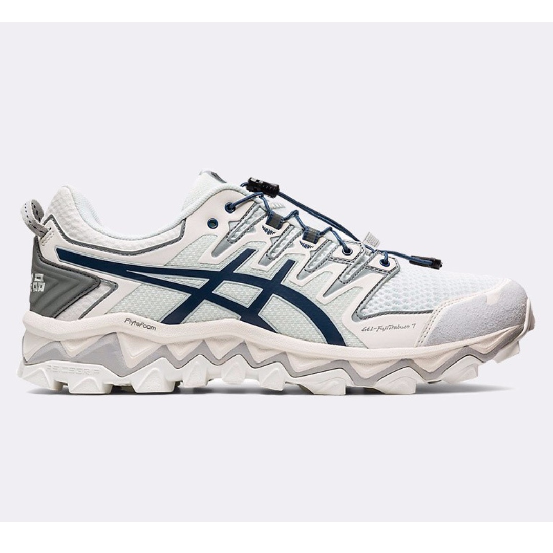 asics arctic