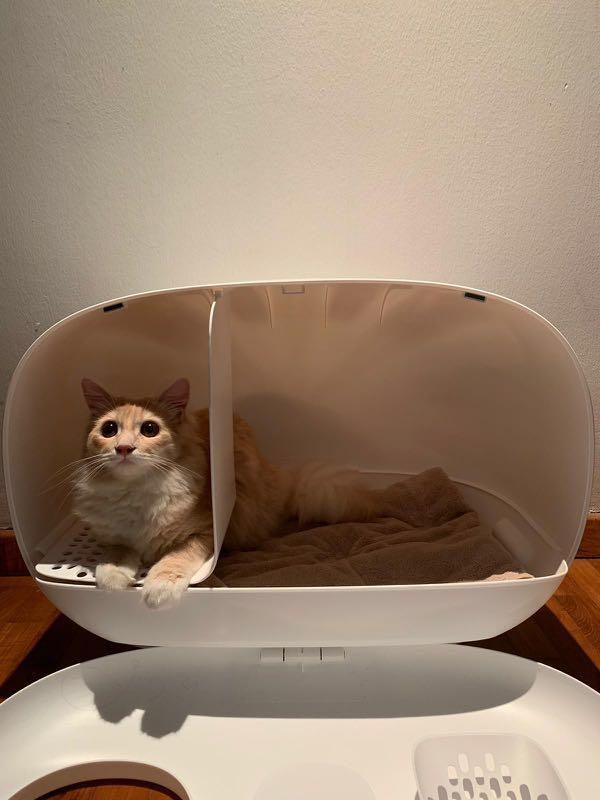 make sure litter box