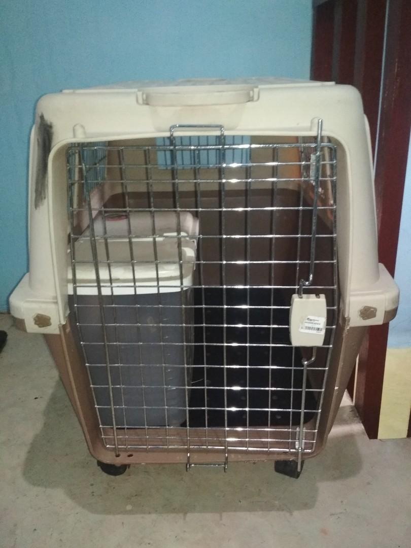 Pet Supplies Ace Hardware Dog Ace Owenhouse Ace Hardware Dog Online