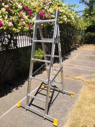 Scaffolding and ladder system