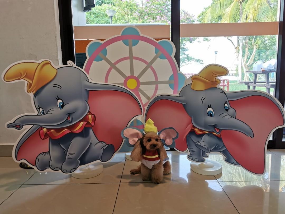 Dumbo Table Dumbo birthday theme dessert table, Everything Else on Carousell