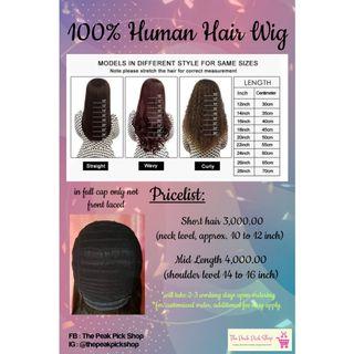 100% Human Hair Wig