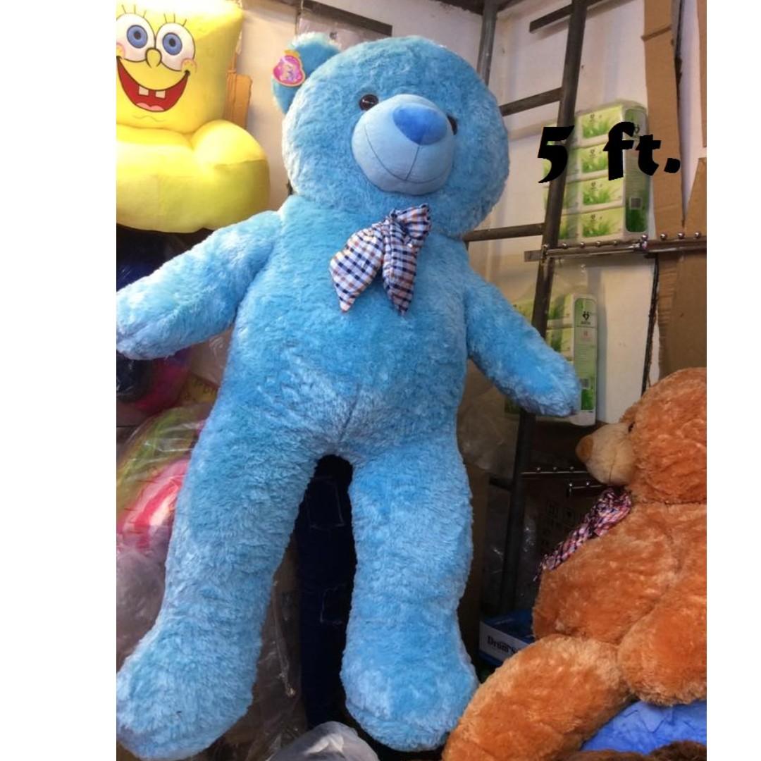 5ft teddy