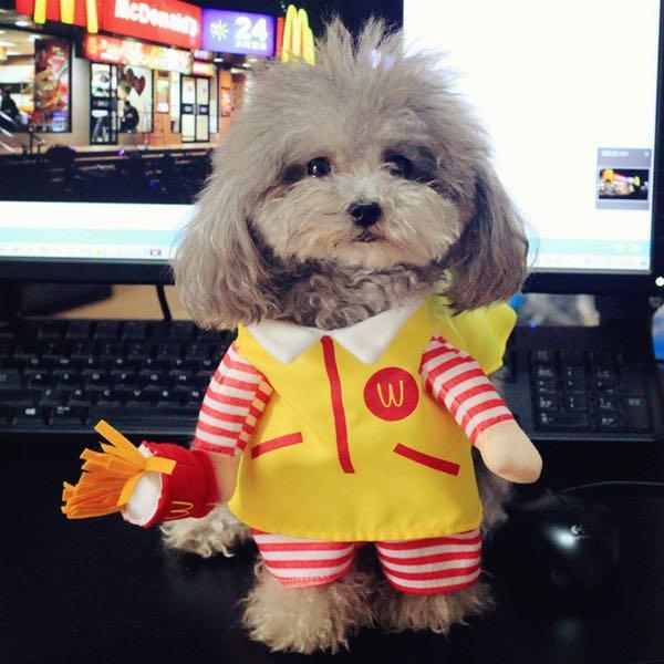 McDonald’s McD McDonalds Pet Cat Dog costume, Pet Supplies, Homes