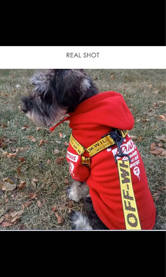 Off white dog top harness