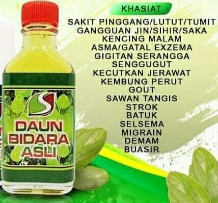 Minyak Daun Bidara Asli Health Beauty Hand Foot Care On Carousell