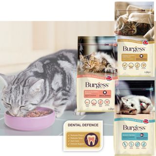 (Category: ) located in . Submitted by petsjoyland (Listing ID 262436576, Image 1). Description: .