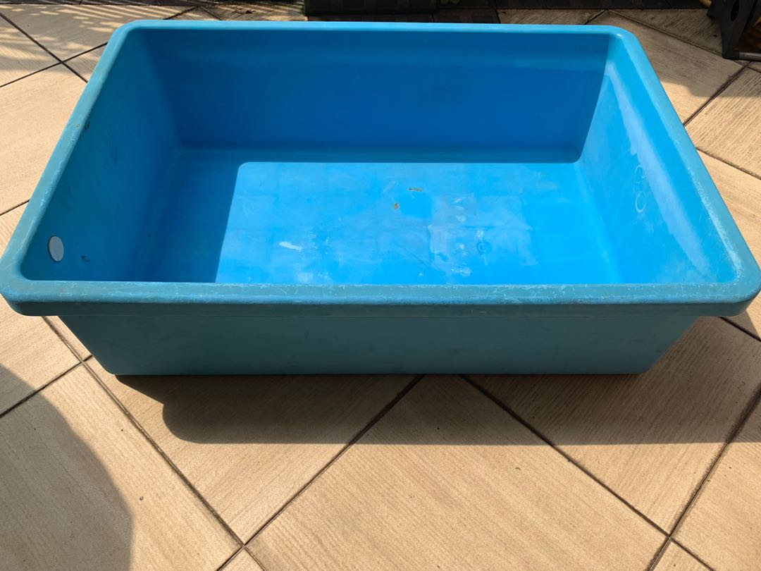 Blue Plastic Fish Tub For Sale, Pet Supplies, Homes & Other Pet