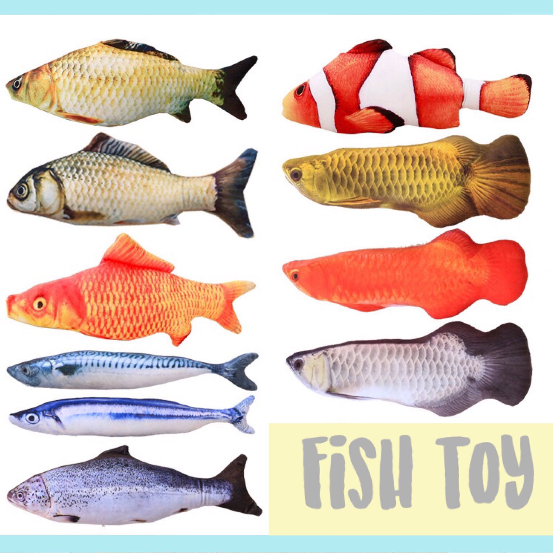 fish enrichment toys