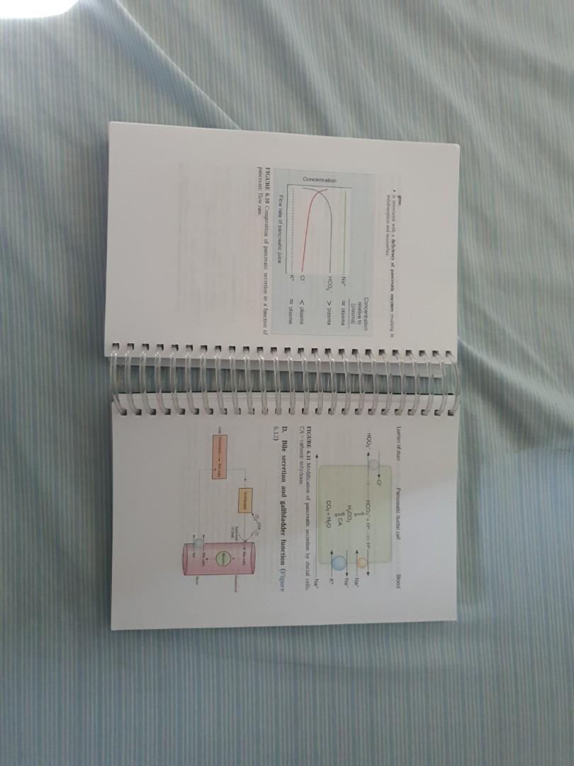 BRS physiology (Category: Textbooks) located in Manila. Submitted by cabjov (Listing ID 262785464, Image 2). Description: Colored reprint 20% with highlights/notes Rfs: clearing.