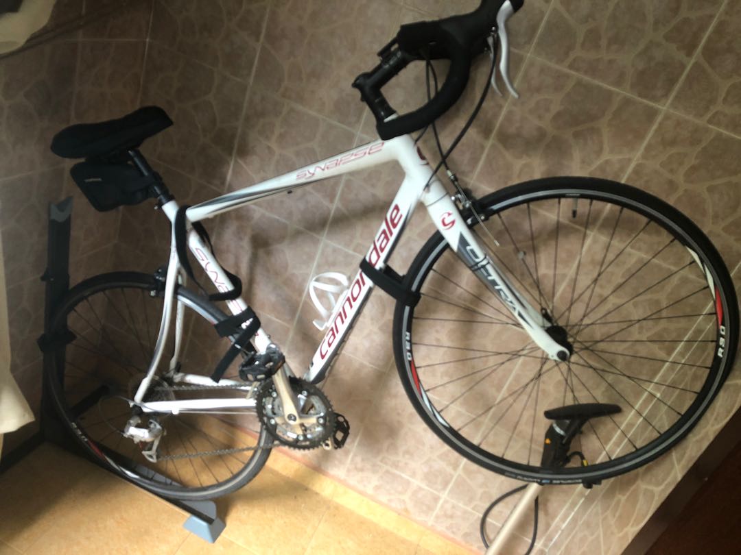 Cannondale synapse shop ultra save
