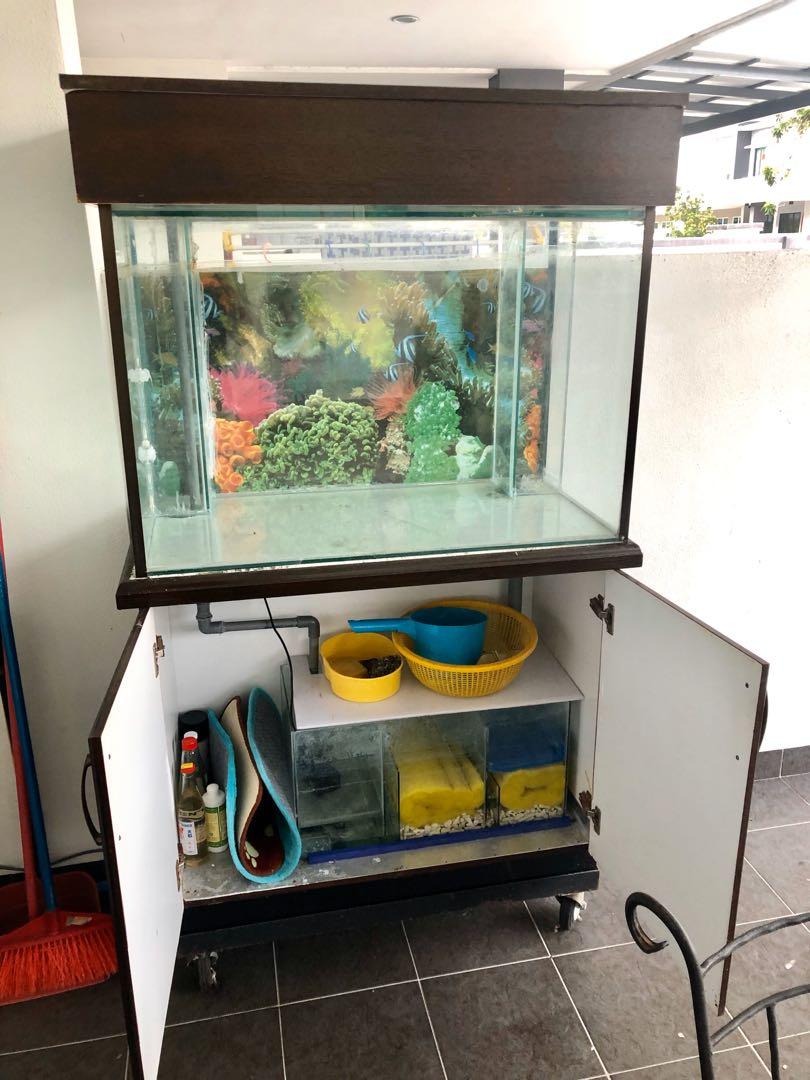 aquarium 3 Kaki, Furniture & Home Living, Home Decor, Carpets