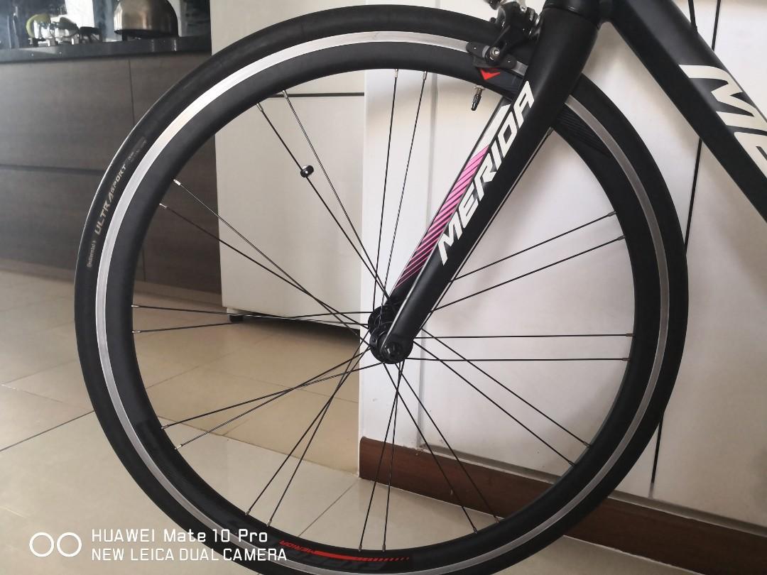 merida scultura 300 lampre