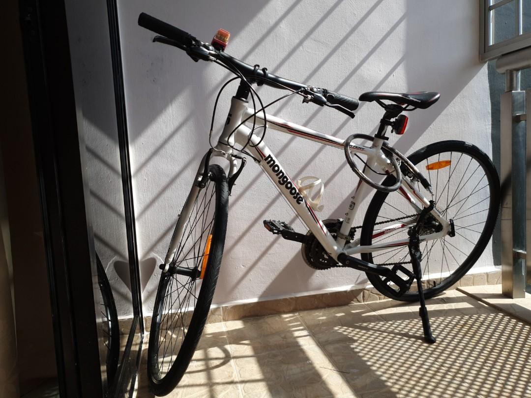 Mongoose artery 2025 comp