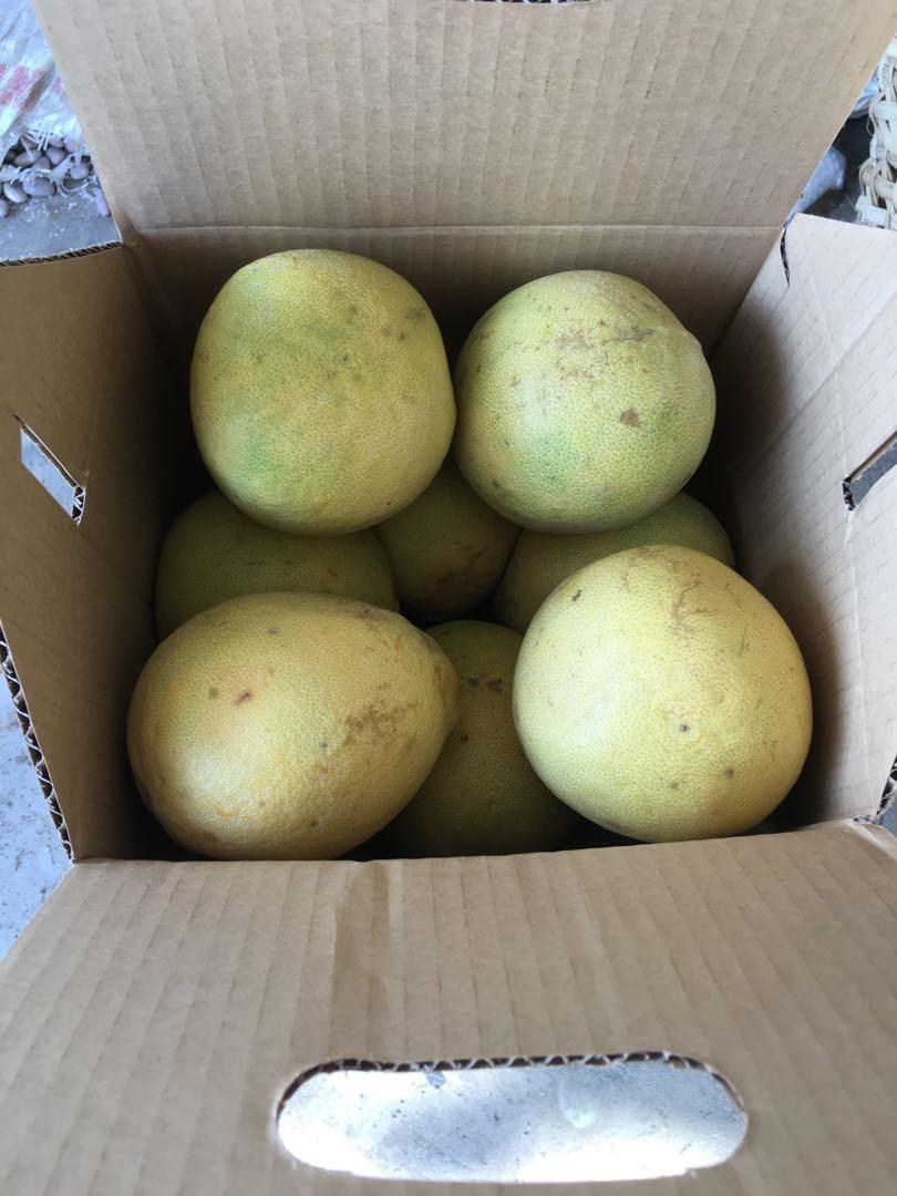 Davao Sweet Pomelo, Food & Drinks, Fresh Produce on Carousell