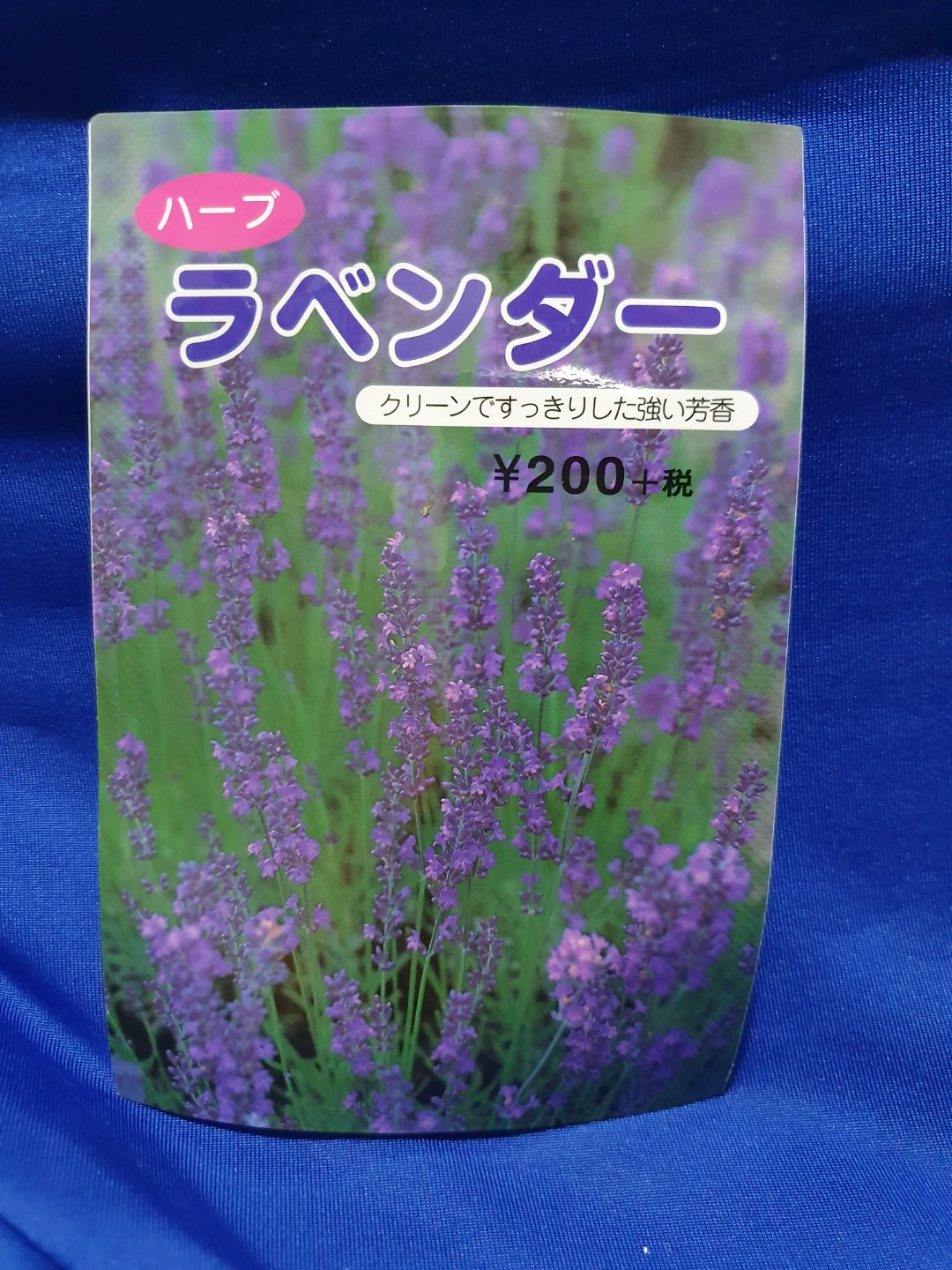 Lavender Seeds From Hokkaido Furano Lavender Fields Gardening Plants On Carousell