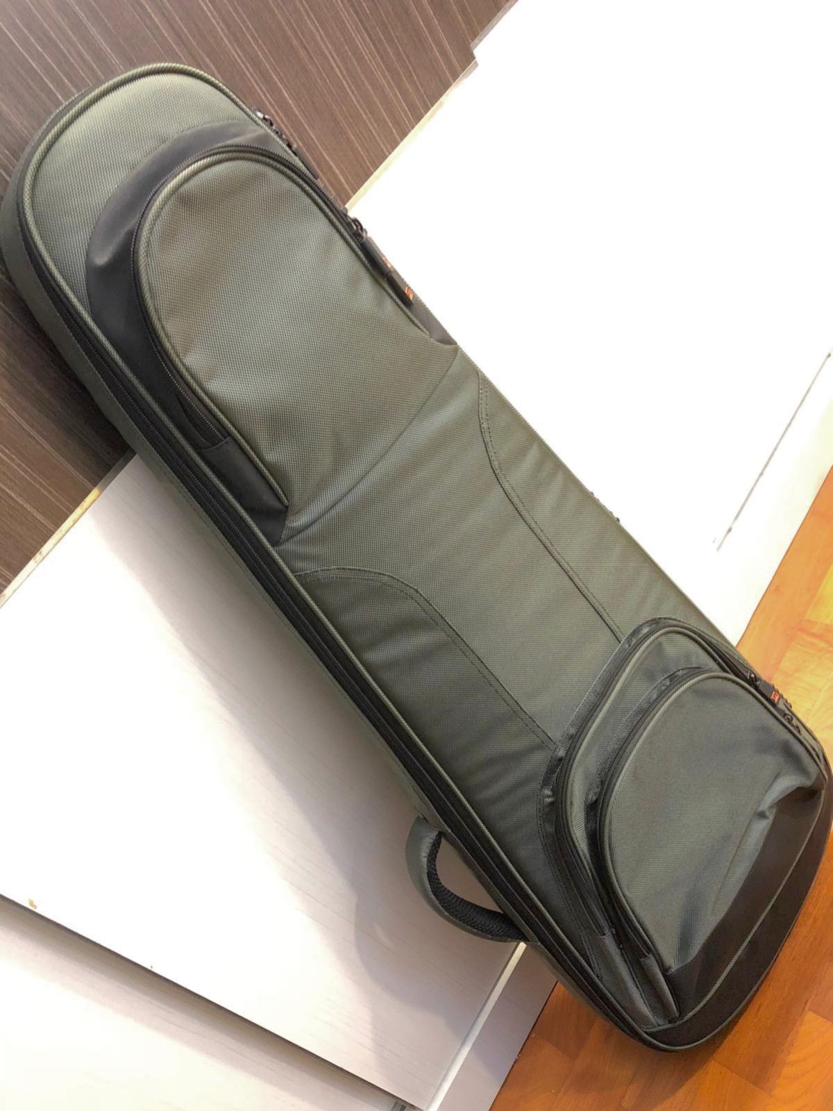 Protec guitar hotsell case