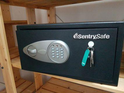 Sentry Home Safe