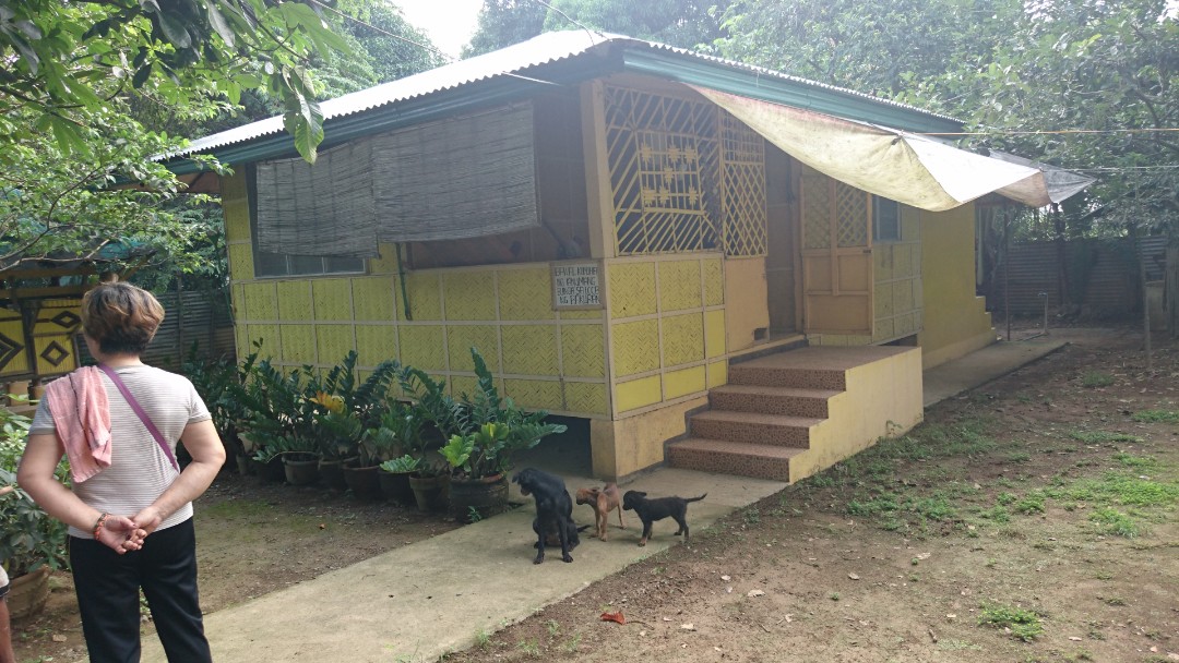 1,920 SQM house and lot for sale in NUEVA ECIJA, Property ...