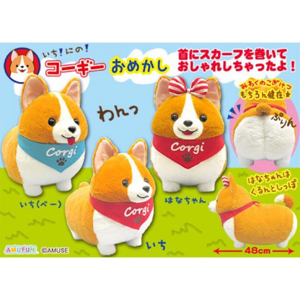 Ichini corgi store