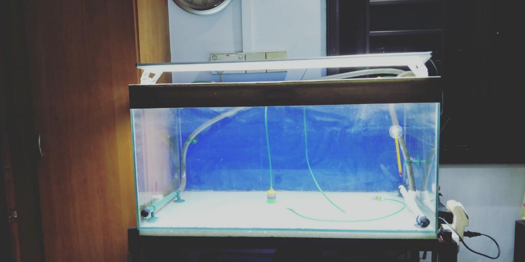 fish tank and accessories for sale