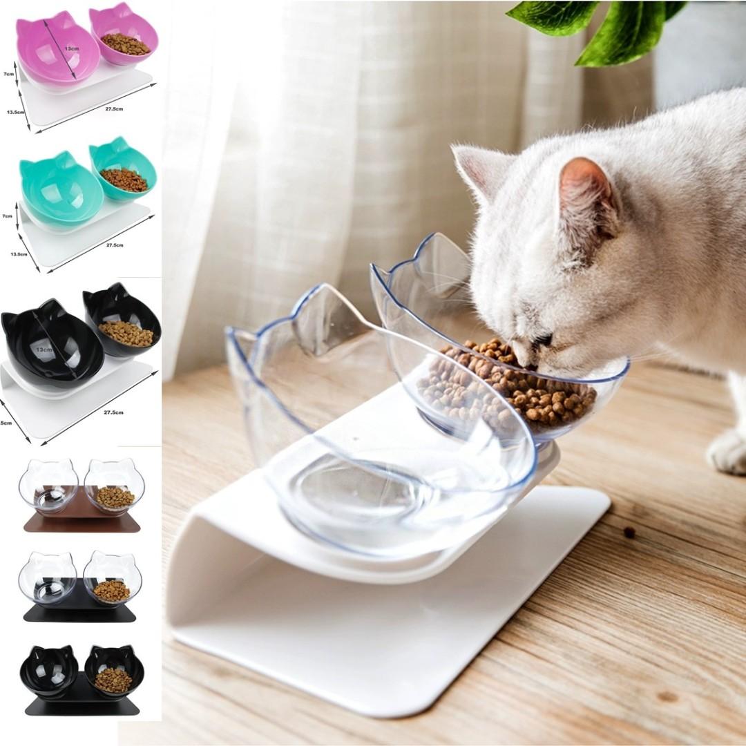 Kitten food and water bowls store