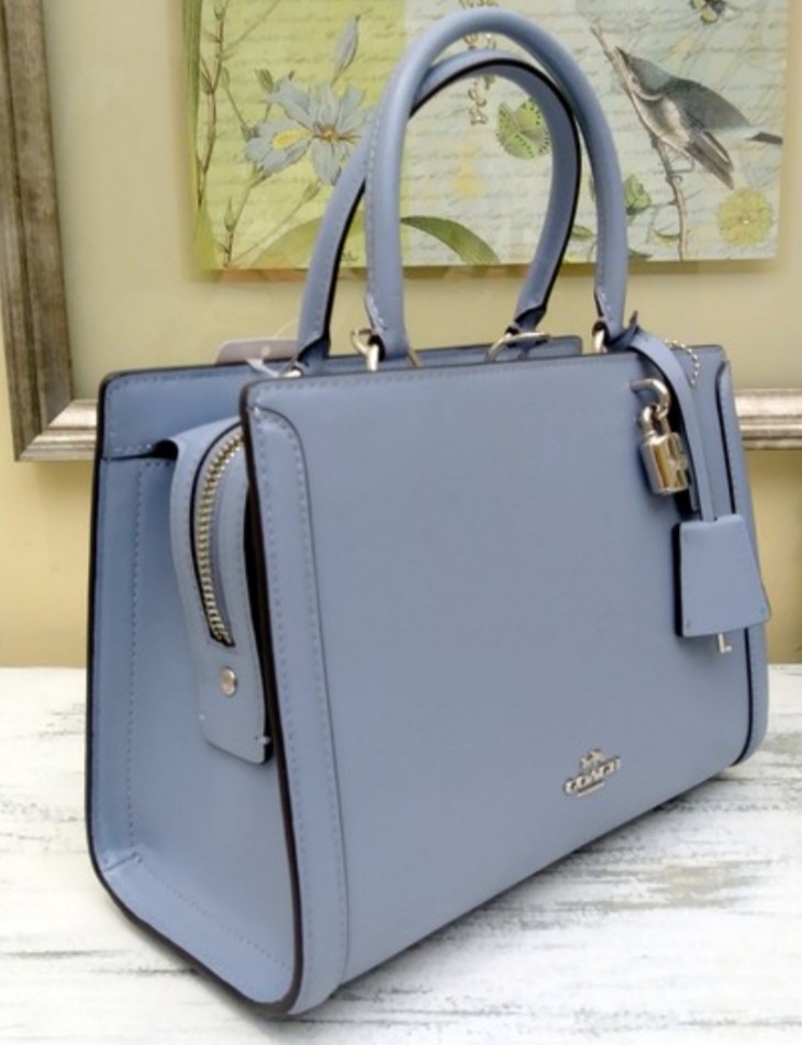 Small zoe carryall coach shop