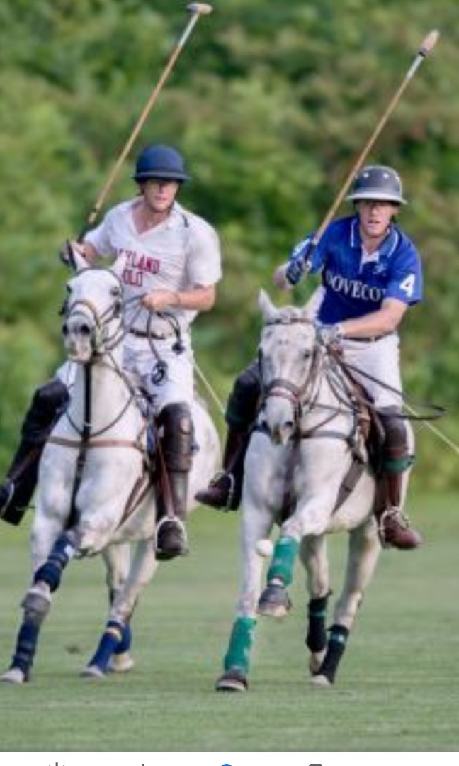 Singapore polo club membership, Everything Else on Carousell