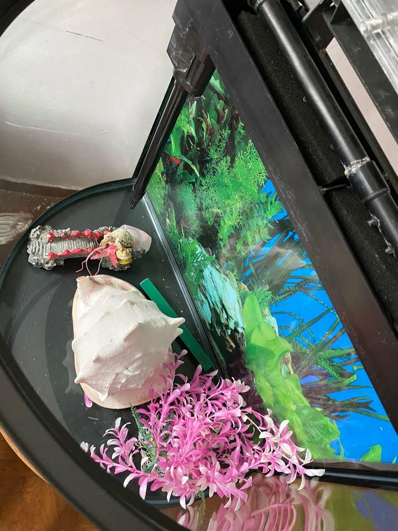 BOYU BYG86 Aquarium With Tank, Pet Supplies, Homes & Other Pet Accessories on
