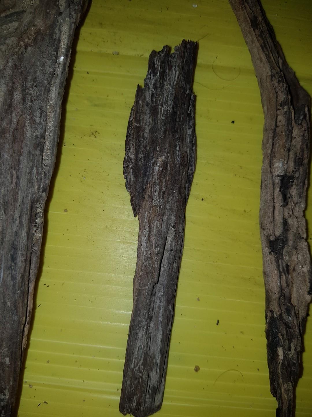 Aquarium driftwood, Pet Supplies, Pet Accessories on Carousell