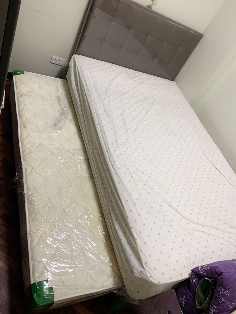 Salem cloud bed best sale with pull out