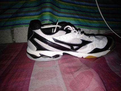 mizuno volleyball shoes mens philippines