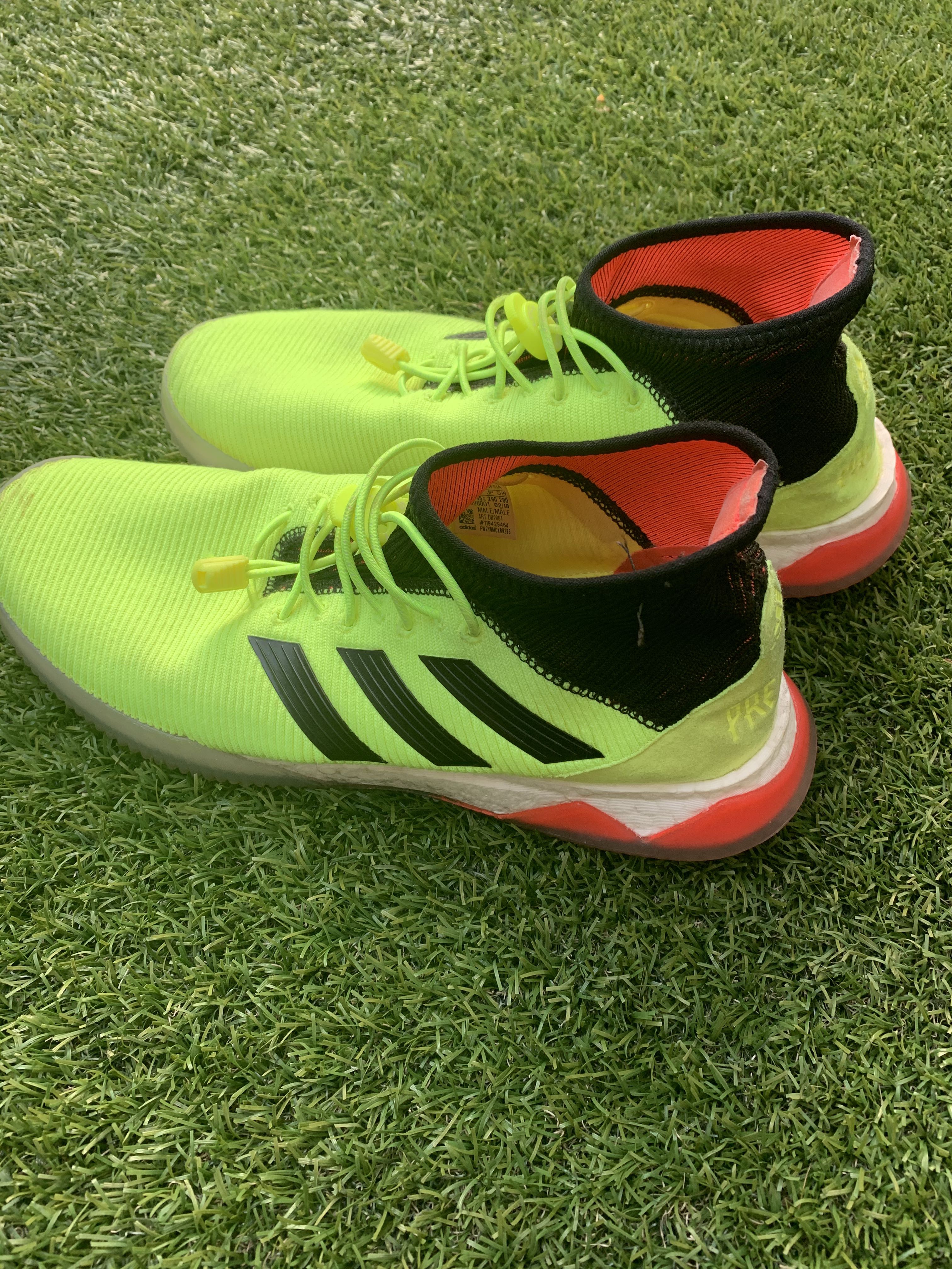 predator tango trainers