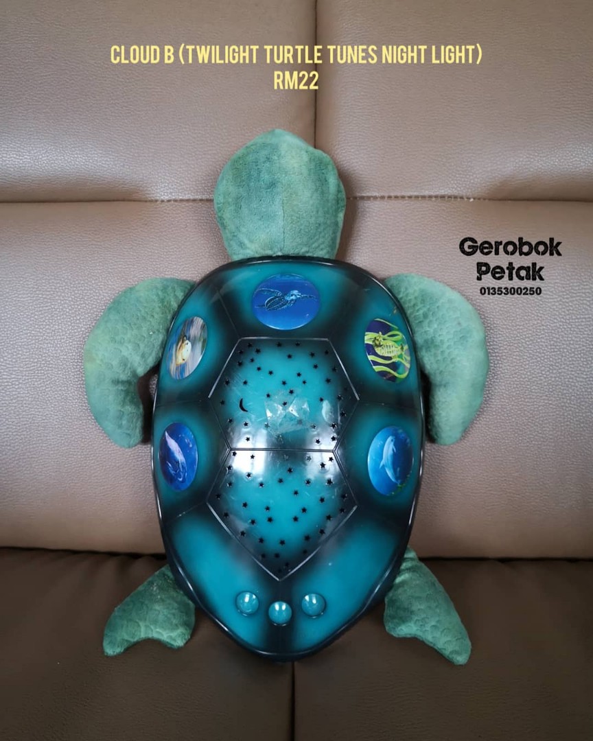 twilight turtle tunes