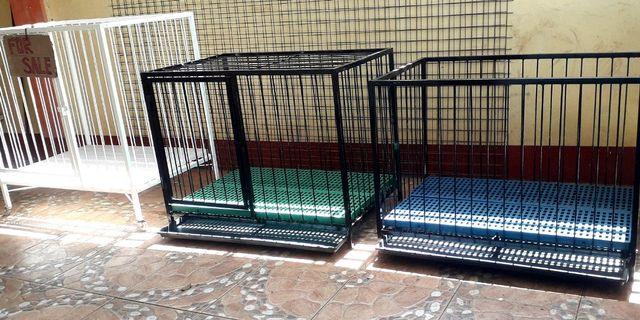 dog kennels for dogs