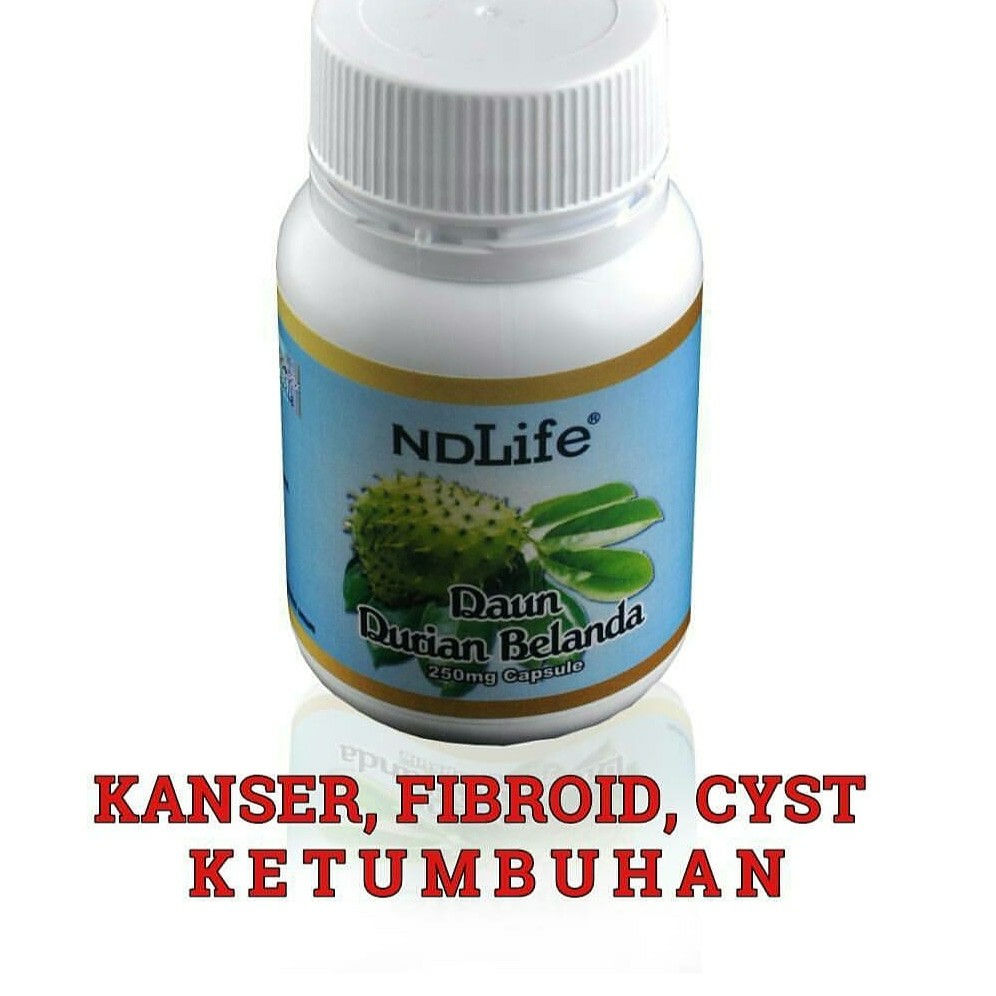 Daun Durian Belanda Everything Else On Carousell