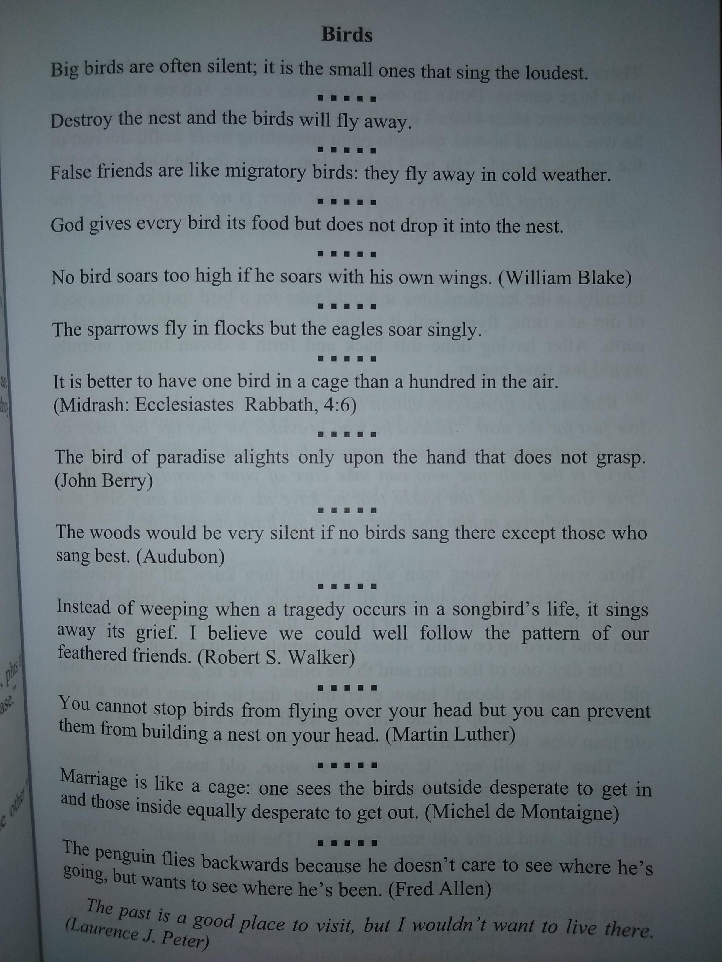 joke-books-for-adults-hobbies-toys-books-magazines-assessment