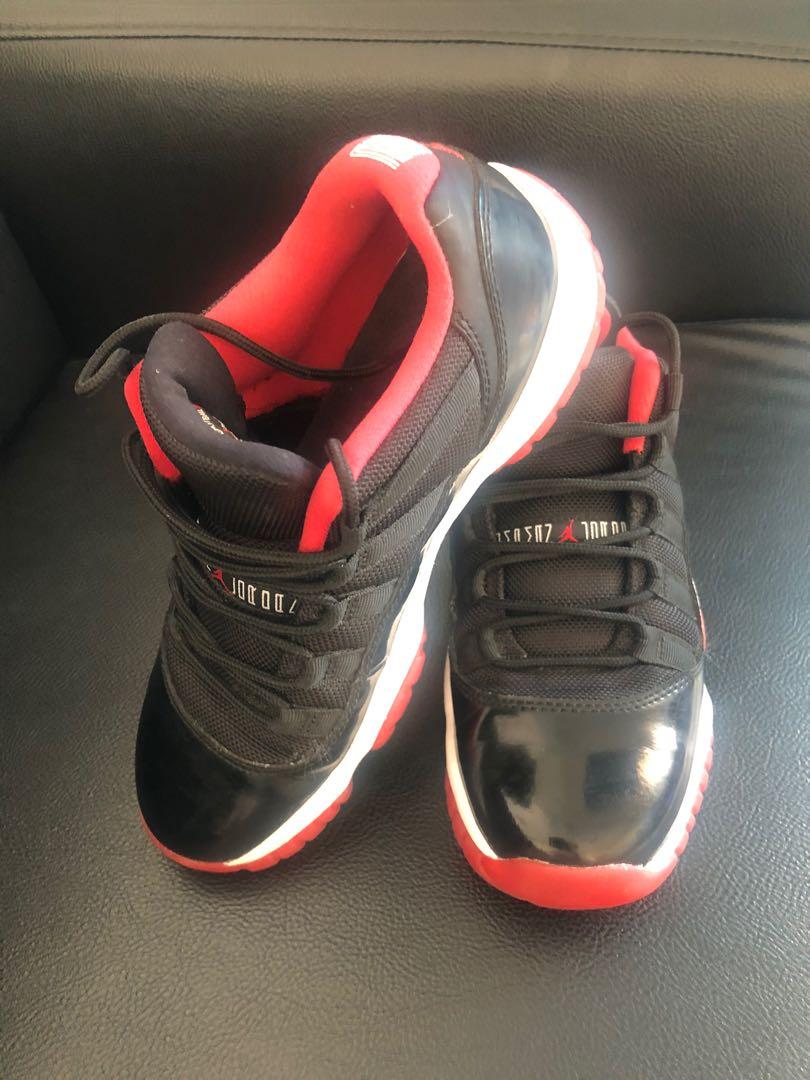 bred 11 5y
