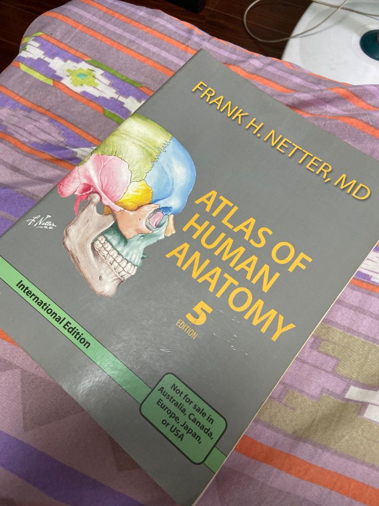 Atlas of Human Anatomy 5th edition by Frank Netter, Hobbies & Toys ...