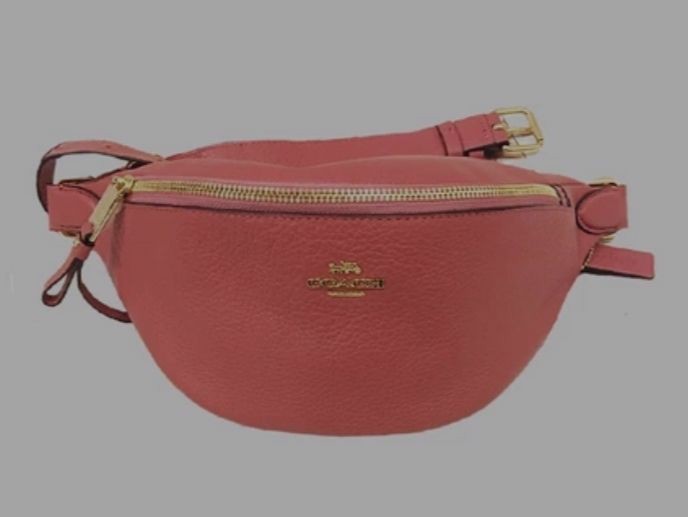 Coach Waist Bag, Women's Fashion, Bags & Wallets, Crossbody Bags on