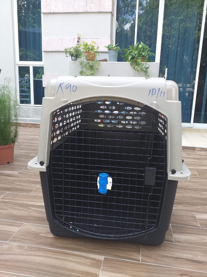 Picture of Portable Dog Cage, Pet Supplies, Homes & Other Pet Accessories on Carousell