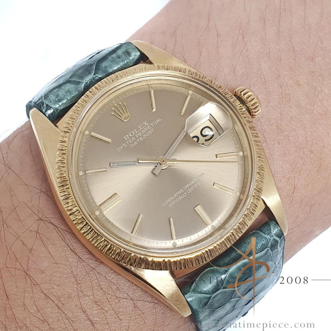 Rolex on sale bark bezel