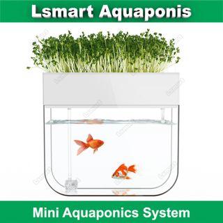 Aquaponics Fish Tank Pet Supplies Carousell Singapore