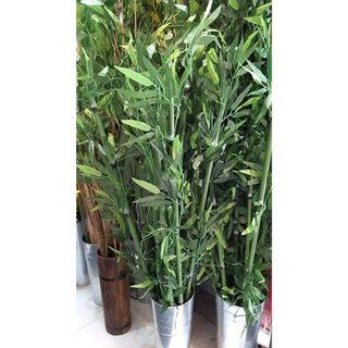 Artificial Single Stem Bamboo Tree with Free Make Up Pouch