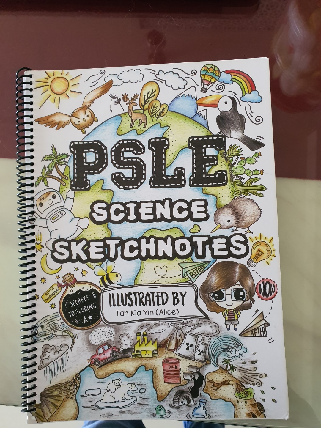 PSlE Science Sketch Notes, Books & Stationery, Textbooks, Primary on