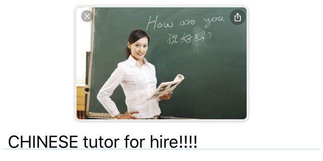 female chinese tutor assistant for hire