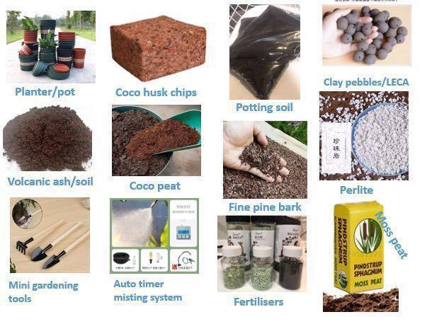 2L /1kg natural nutrient soil: mixture of moss peat, vermiculite ...