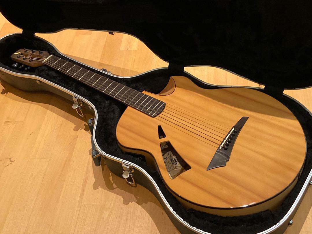 Avian skylark guitar price discount