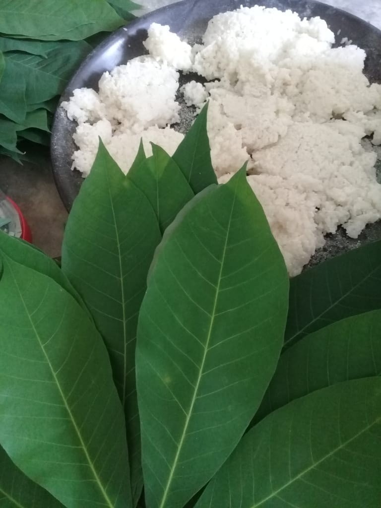 Tapai Pulut Daun Getah Rubber Leaf Wrapped Fermented Sweet Sticky Rice Food Drinks Packaged Snacks On Carousell